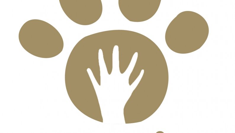 4-asis gyvūnų prieglaudos „Lesė“ gimtadienis!