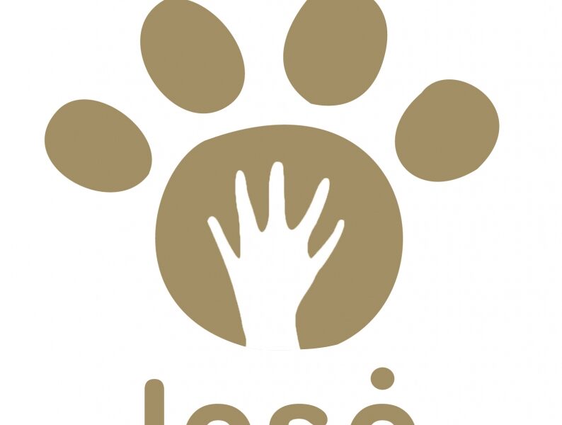 4-asis gyvūnų prieglaudos „Lesė“ gimtadienis!