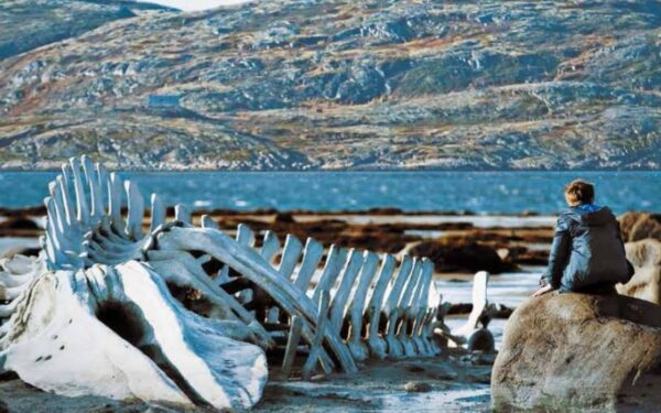 E. Pukšta: „Jau galime nuspėti, kas rytoj nuskins Kanų „Auksinę palmės šakelę“