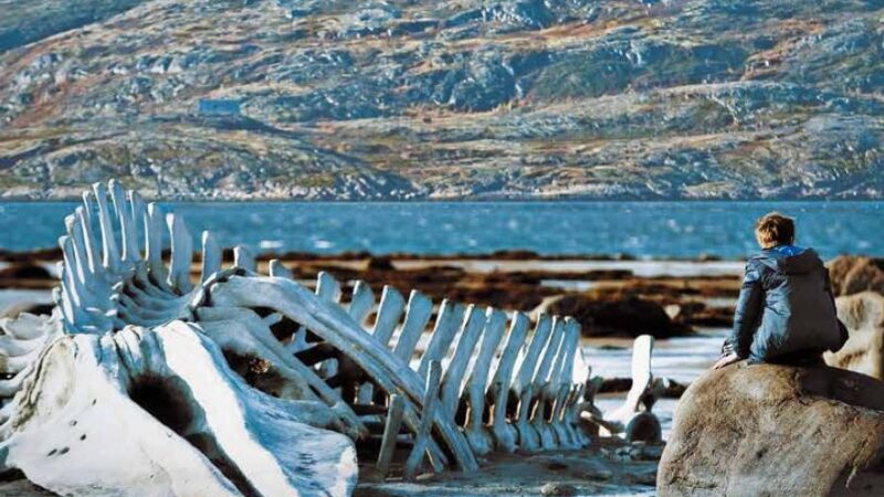 E. Pukšta: „Jau galime nuspėti, kas rytoj nuskins Kanų „Auksinę palmės šakelę“