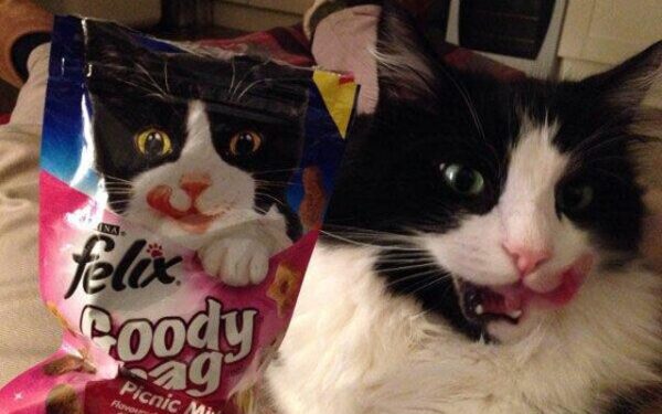 Juokingi sutapimai: tinkamoj vietoj, tinkamu metu (III dalis, foto)