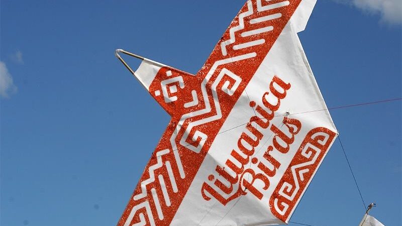 Lietuviai skraidins Dariaus ir Girėno paukščius į JAV (foto)