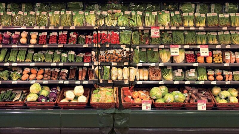 Nematomas žmogus: surask nuotraukoje pasislėpusį kiną! (foto)