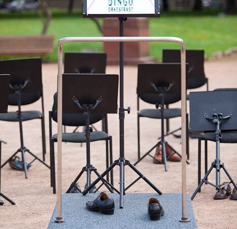 „Kur dingo orkestras?“  Paslaptis atskleista