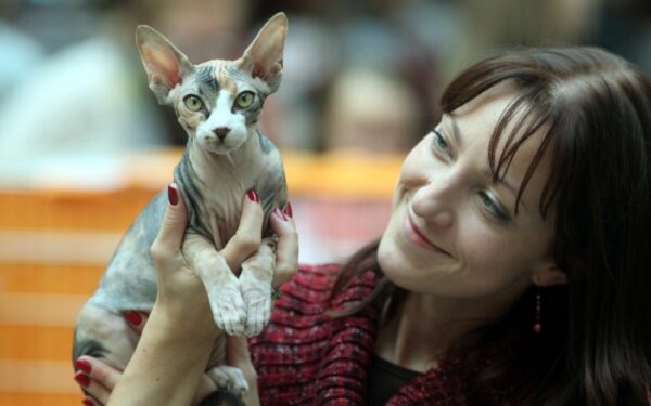 Savaitgalį Vilniuje vyko Tarptautinė kačių paroda (Foto)