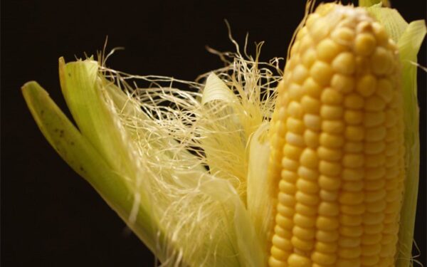 Vištienos užkepėlė su kukurūzais