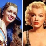 Kokia plastinė operacija buvo atlikta Marilyn Monroe?