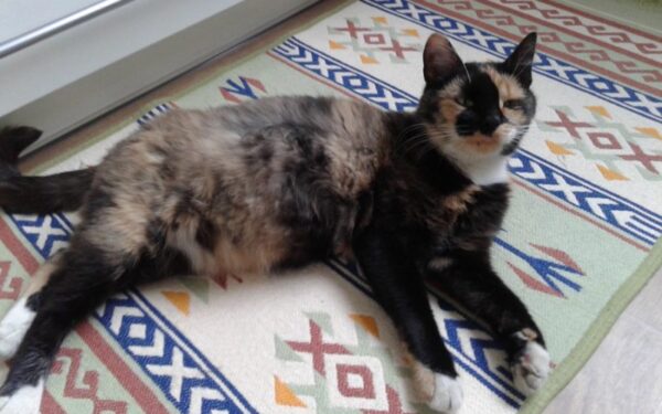 Globotinio pusryčiai: trispalvė Kruopa verta tik pačių geriausių namų