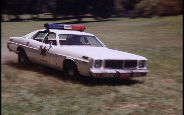 Jei sustabdė policininkas, neišsigąskite – padėsite tirti nusikaltimą