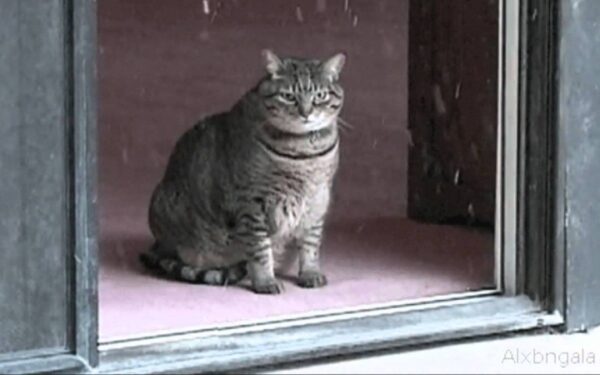 Pirmoji balandžio savaitė šiltais orais nelepins