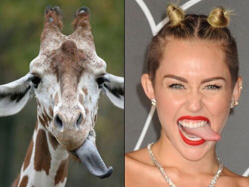 Linksmai: Miley Cyrus „antrininkai“ (foto)