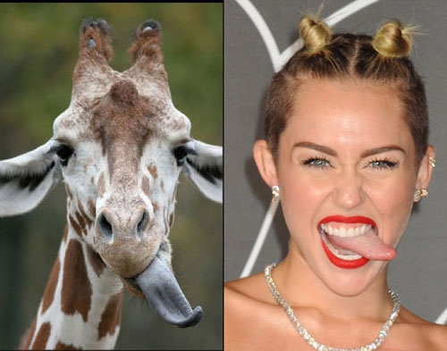 Linksmai: Miley Cyrus „antrininkai“ (foto)