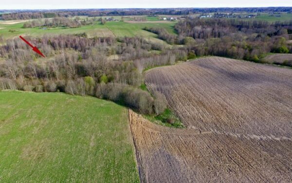 Atrastas piliakalnis, atskleidžiantis XIII a. pilies ir gyvenvietės vietą