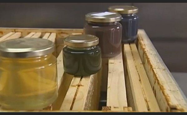 Saldainių prisiragavusios bitės pradėjo nešti spalvotą medų