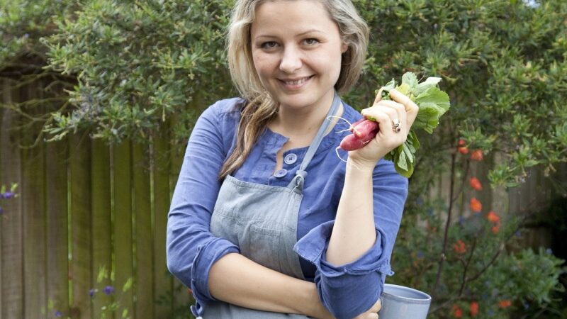 Kulinarinės knygos: ekspertai prieš mėgėjus