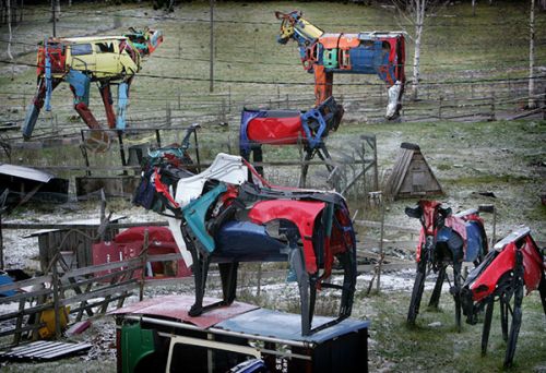 Suomių skulptorės meilė karvėms - skulptūrose iš automobilių  (Foto)