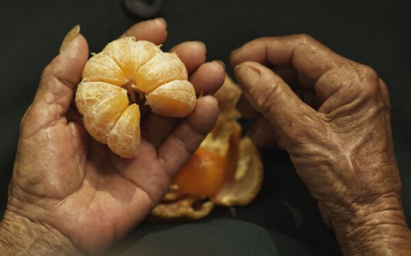 „Vilniaus kino šortuose“ – emocijos 360 laipsnių kampu