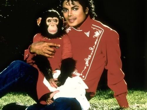 Azartiniai žaidimai, prostitucija ir dar 10 bendrų žmogaus ir beždžionių savybių (Video)