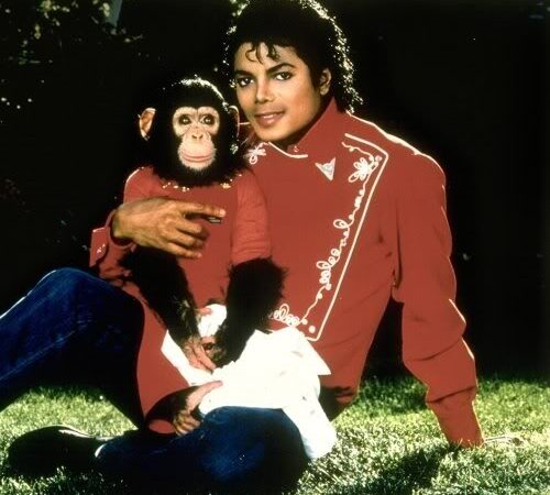 Azartiniai žaidimai, prostitucija ir dar 10 bendrų žmogaus ir beždžionių savybių (Video)