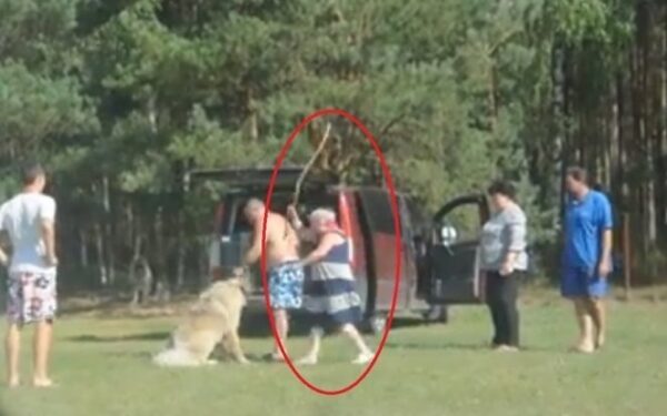 Druskininkų šunų parodoje – rusai savo aviganį auklėjo lazdos kirčiais