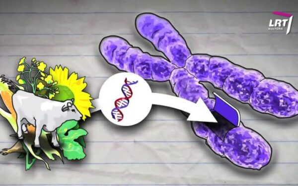 „Mokslo sriuba“: kaip išmaitinti augančią žmoniją?