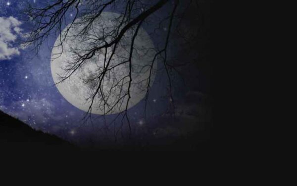 Mėnulio horoskopas 2013 metams