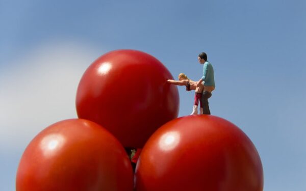Meilė netikėtose vietose: erotiškos ir linksmos miniatiūros (foto) (N-18)
