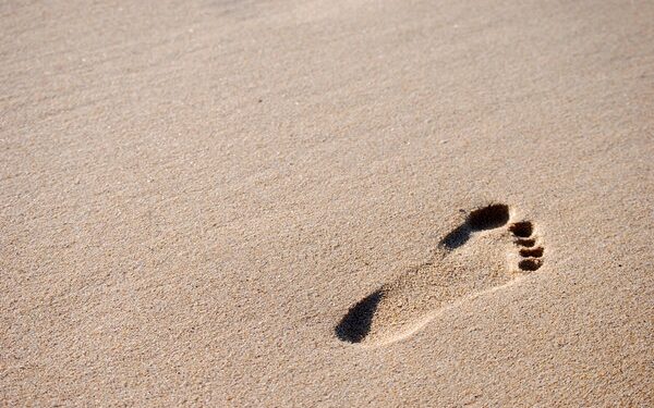 Rugpjūčio mėnesio horoskopas 12-ai Zodiako ženklų