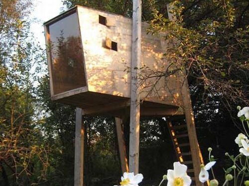 Kam gyventi ant žemės, jei gali name – medyje (Foto)