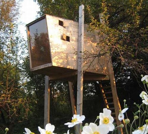 Kam gyventi ant žemės, jei gali name – medyje (Foto)