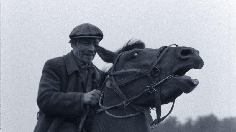 Lietuvių kinas rodomas didžiausiame pasaulyje klasikinių filmų festivalyje