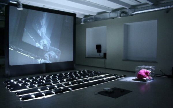 Startuos 4-oji „Naujosios operos akcija“