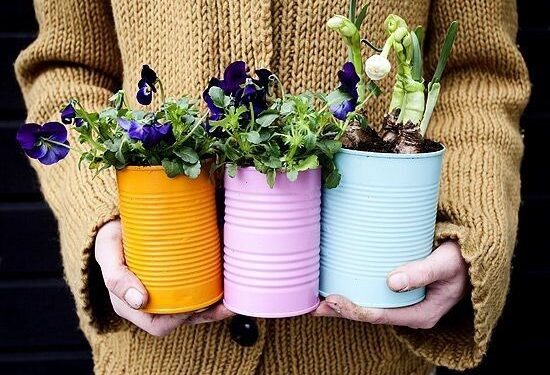 Daržas ant palangės – patarimai, kaip jį sukurti