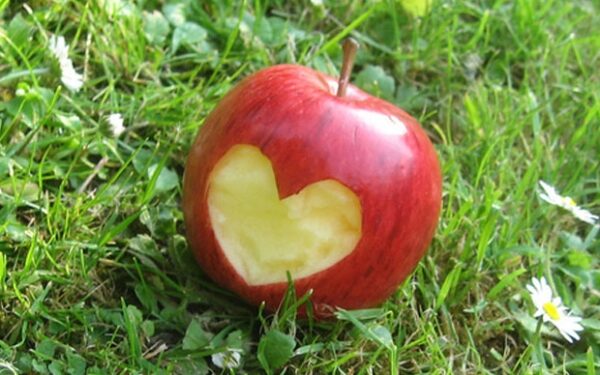 Psichologo komentaras: meilė (ne)turi pabaigos