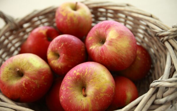 Startuoja rudenio socialinė akcija – „Draugų uogienė 2013“