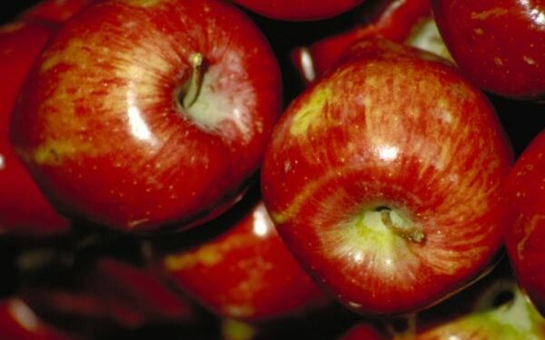 Šalta obuolių sriuba