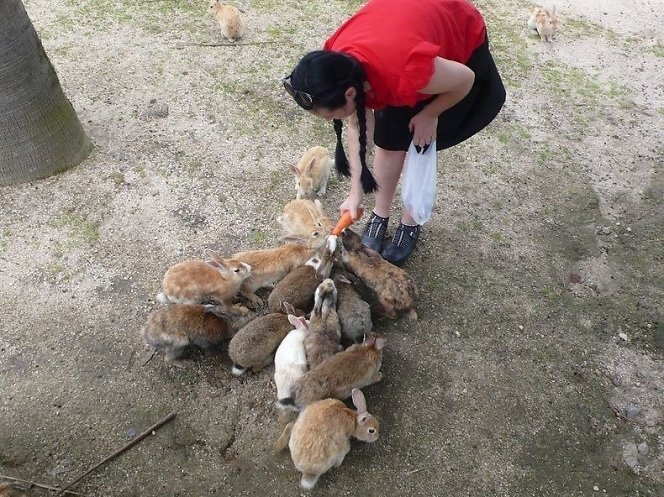 Okunoshima – vienintelė pasaulyje sala