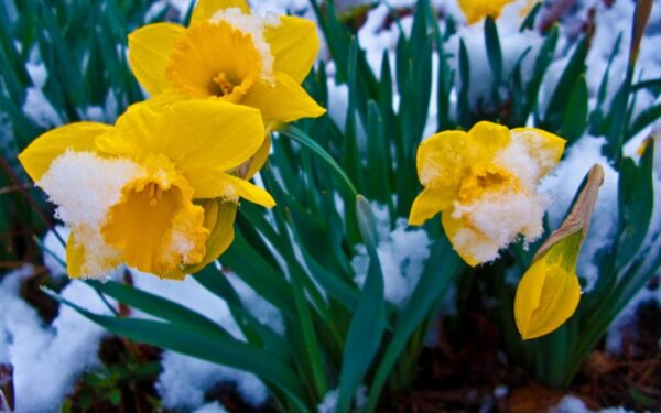 Savaitės orai: kiek užtruks žiemos sugrįžimas?