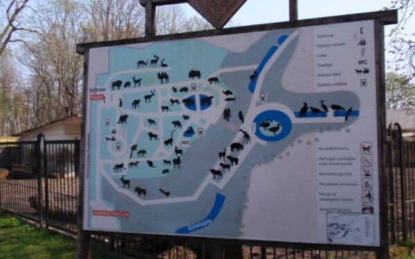 Lietuvos zoologijos sodo naujokai – lūšiukai ir kapucinas