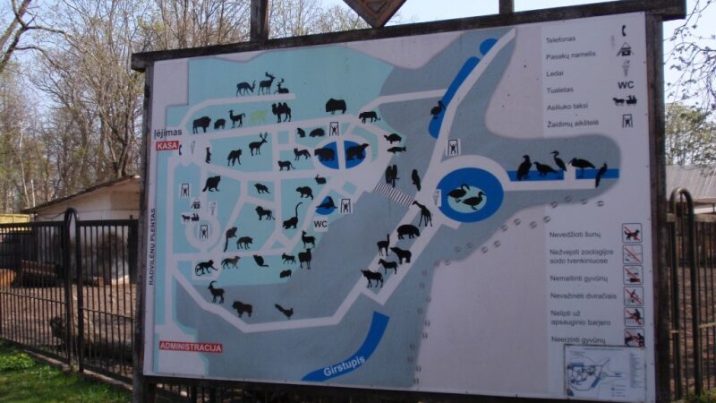 Lietuvos zoologijos sodo naujokai – lūšiukai ir kapucinas