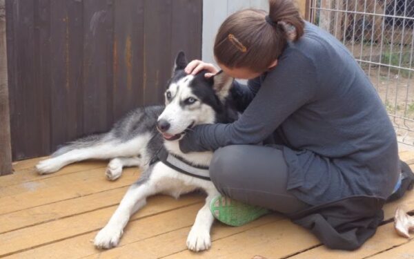 Globotinio pusryčiai: Aiko ieško ramybe spinduliuojančio žmogaus