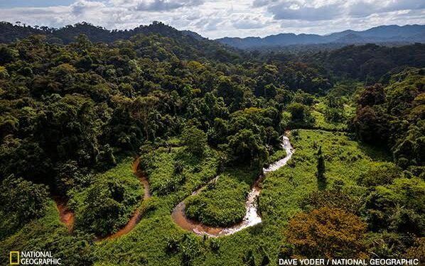 Neįžengiamose Hondūro džiunglėse aptikti senovinio miesto pėdsakai