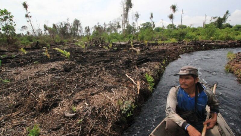 Sausainiai – žmonių išnaudojimo ir planetos naikinimo simbolis