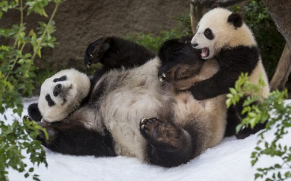 Šiek tiek gerų meteorologų žinių savaitgaliui