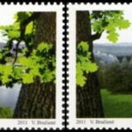 Tarptautinius miškų metus atmins ir pašto ženklai