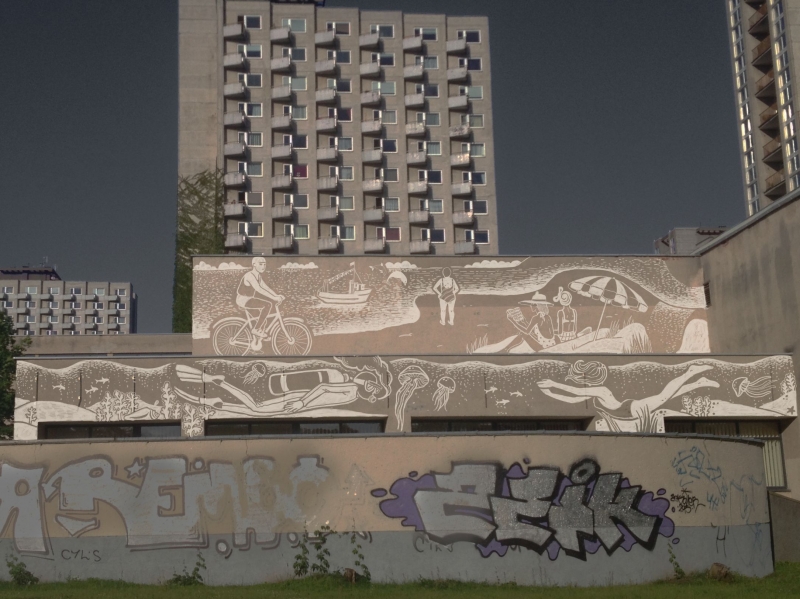 Gatvės menas: šlapia menininkės Paulės Bocullaitės siena (interviu