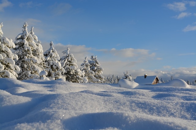 Orai: užgrius žiema – svilins šaltis