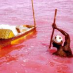 Rožinis Afrikos ežeras – lyg krauju pasruvęs (foto)