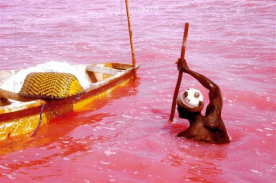 Rožinis Afrikos ežeras – lyg krauju pasruvęs (foto)
