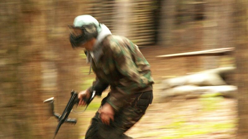 Dažasvydis. Tarp sporto ir pramogos